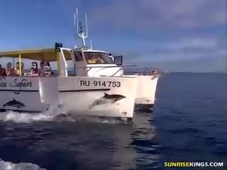 Mokro muca lizanje poleg na čoln