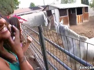लड़कियों सकिंग पर the घोडा फार्म प्रदर्शन